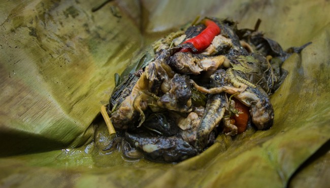 Khóc thét với đặc sản nòng nọc ếch kinh dị của Thái Lan