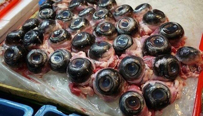 Mắt cá ngừ nhìn hãi hùng nhưng lại là món ăn đặc sản ở Phú Yên