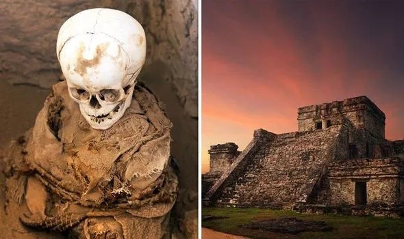 Hé lộ bí mật khủng khiếp của đế chế Inca qua những hộp sọ  