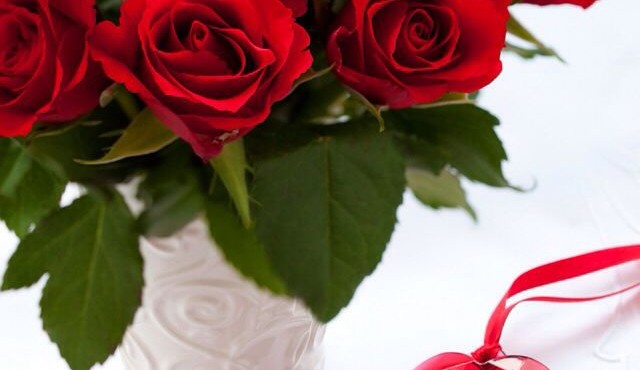 Vì sao hoa hồng đỏ thường được cặp tình nhân tặng nhau vào ngày Valentine? 