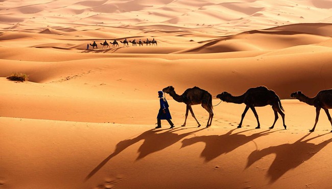Nếu phủ pin mặt trời kín sa mạc Sahara sẽ tạo ra lượng điện khổng lồ?