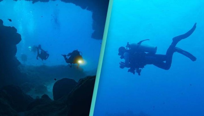Phát hiện “thủ phạm” gây ra hàng triệu chiếc hố bí ẩn dưới đáy Biển Bắc