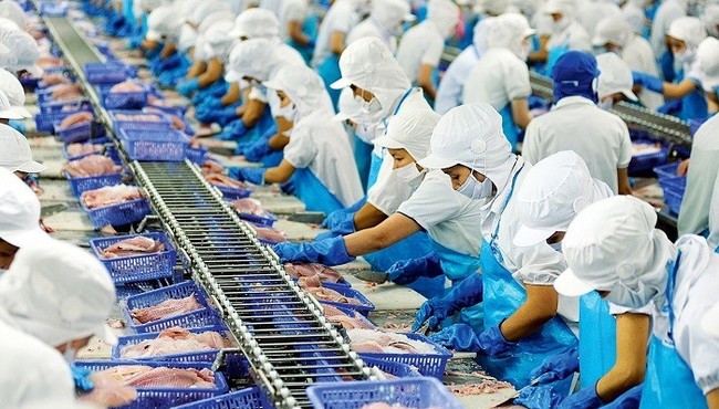 Vĩnh Hoàn góp thêm 50 tỷ đồng vào doanh nghiệp sản xuất giống cá tra
