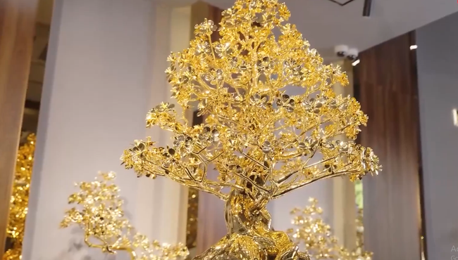 Tận mục cây mai mạ vàng khủng giá tới 5,5 tỷ đồng