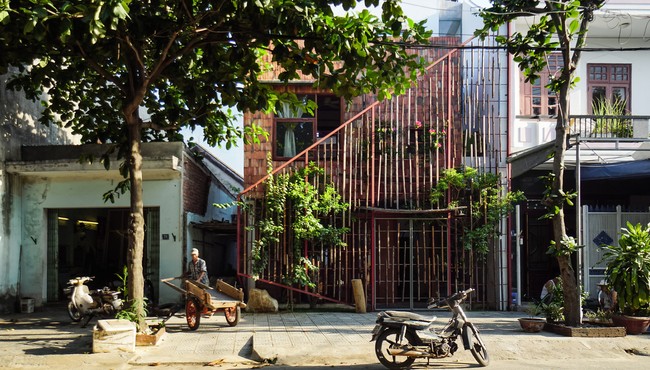 Ngỡ ngàng ngôi nhà ở Đà Nẵng đặt vườn cây trong bếp lên báo Mỹ