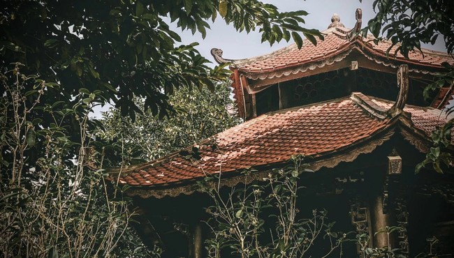 Vào xem căn biệt thự của đại gia Nam Định được làm toàn bằng gỗ lim quý 