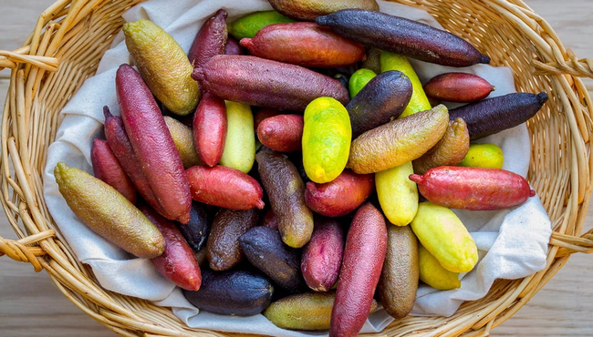 Việt Nam trồng được loại quả quý hiếm đắt đỏ bậc nhất thế giới