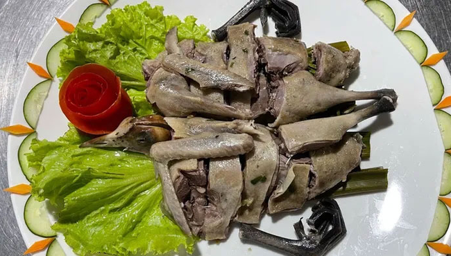 Biết gì về món ăn từ chim Sâm Cầm khiến đại gia Việt săn lùng