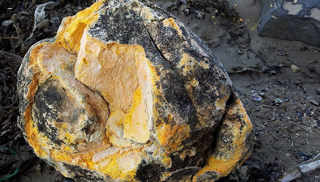 Thanh niên tìm thấy khối 'vàng nổi' nặng gần 17 kg khi nhặt rác trên biển