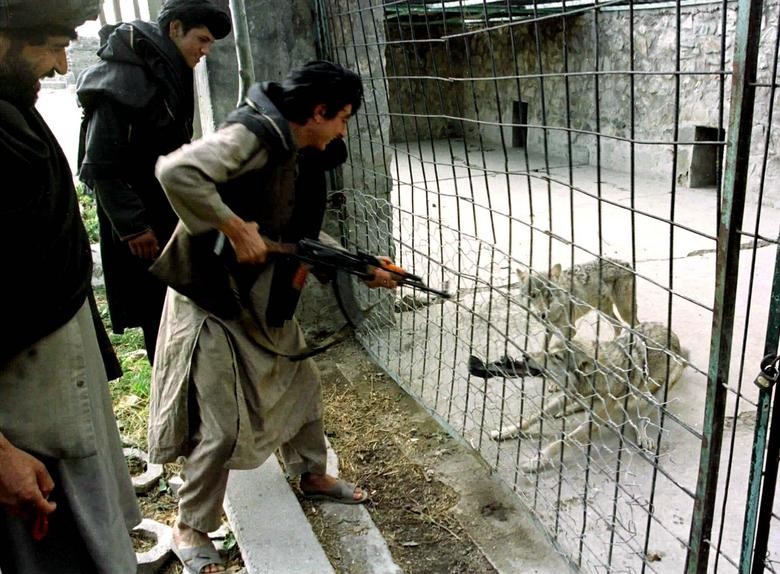 Nhin lai thoi gian Taliban cai tri Afghanistan giai doan 1996-2001-Hinh-4