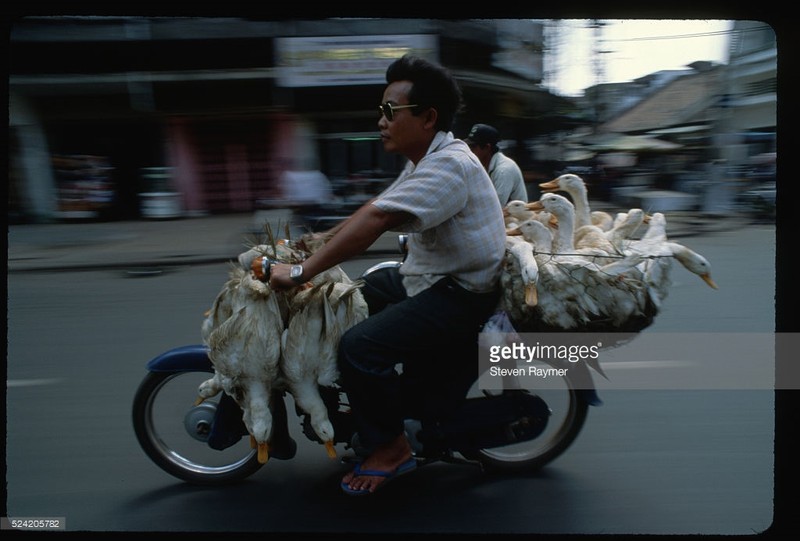 Dau an Viet Nam cuc moc mac nhung nam 1993 - 1994-Hinh-12