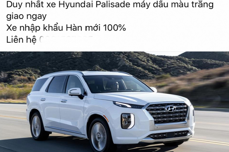 Ngam Hyundai Palisade duoc dai ly chao ban gia hon 2,5 ty dong-Hinh-3