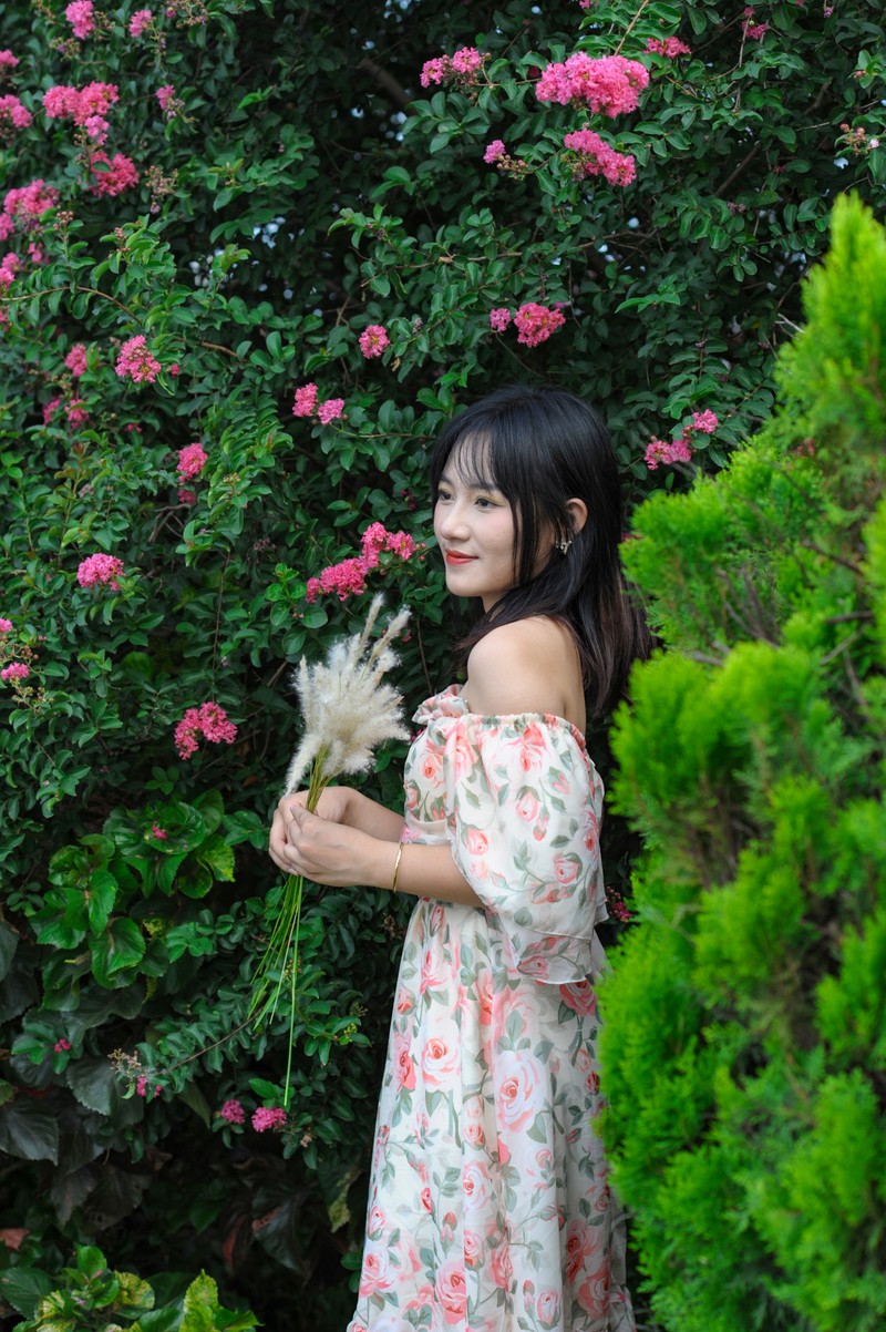 Can canh mua hoa tuong vi ruc ro khap Ha Noi-Hinh-4