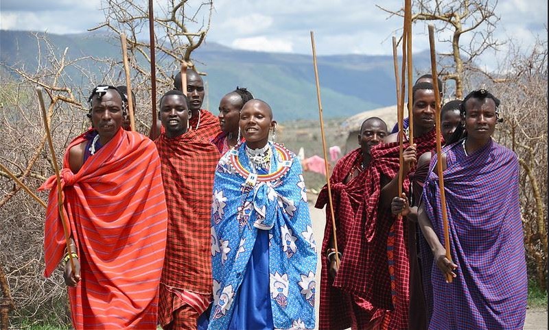 Vi sao bo toc nguoi Maasai lay phan trau bo de xay nha?-Hinh-4