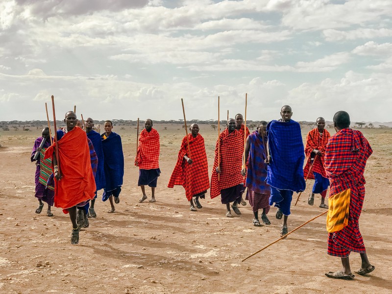 Vi sao bo toc nguoi Maasai lay phan trau bo de xay nha?-Hinh-6