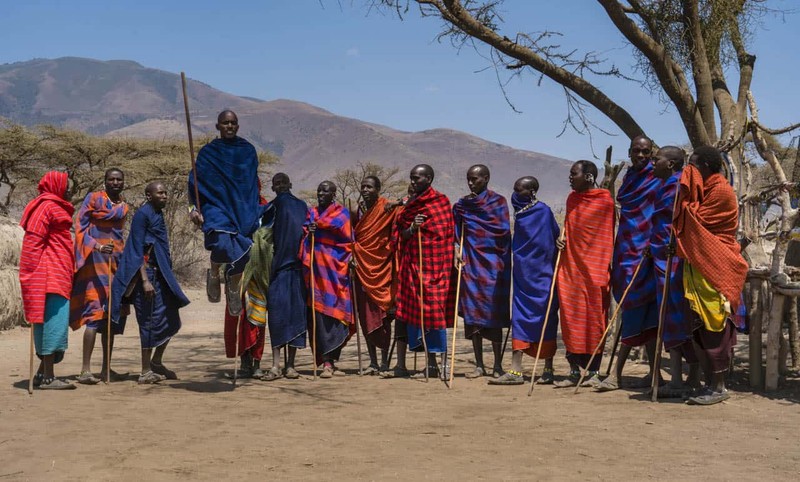 Vi sao bo toc nguoi Maasai lay phan trau bo de xay nha?