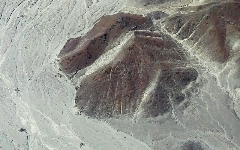 Thuc hu hinh ve khong lo Nazca la cua nguoi ngoai hanh tinh-Hinh-8