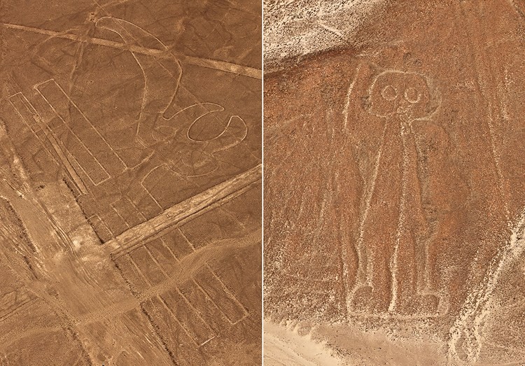 Thuc hu hinh ve khong lo Nazca la cua nguoi ngoai hanh tinh-Hinh-9
