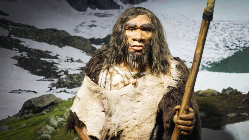 Nguoi Neanderthals tuyet chung 40.000 nam truoc vi... san bat tho?-Hinh-10