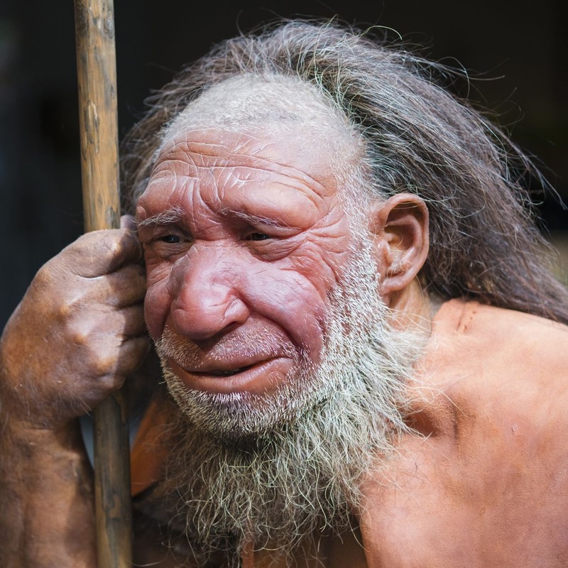 Nguoi Neanderthals tuyet chung 40.000 nam truoc vi... san bat tho?-Hinh-2