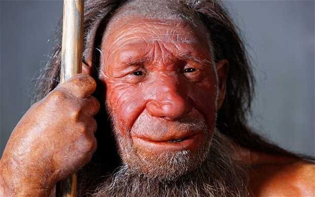 Nguoi Neanderthals tuyet chung 40.000 nam truoc vi... san bat tho?-Hinh-3