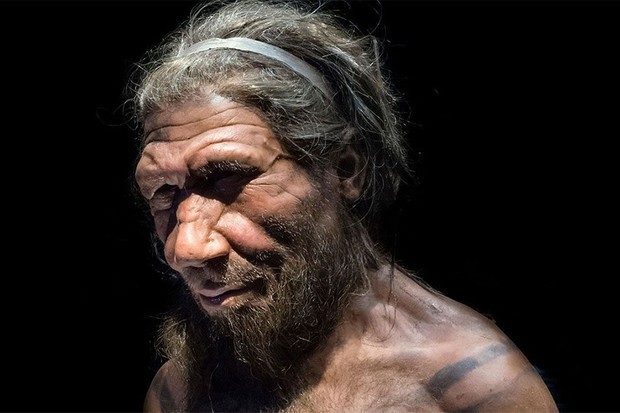 Nguoi Neanderthals tuyet chung 40.000 nam truoc vi... san bat tho?-Hinh-4