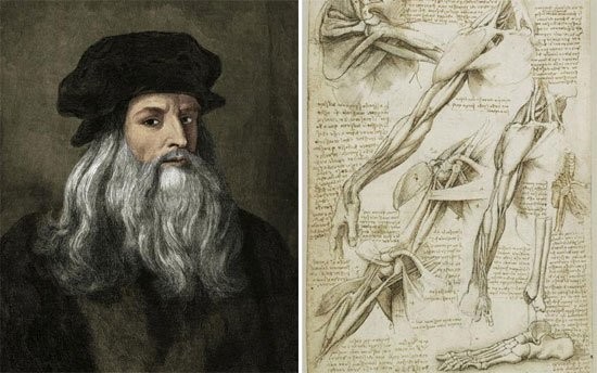 Leonardo da Vinci hieu ro ve luc hap dan truoc Newton?-Hinh-9