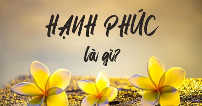 Thien Su Thich Nhat Hanh day gi trong cuon 'Hanh phuc cam tay'?-Hinh-9