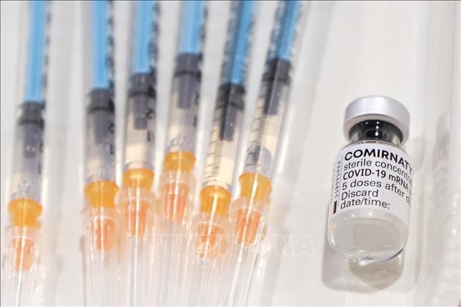 Vaccine Comirnaty phong COVID-19 cua Pfizer/BioNTech da duoc Bo Y te phe duyet
