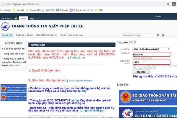 Website gia mao trang tra cuu thong tin giay phep lai xe-Hinh-2