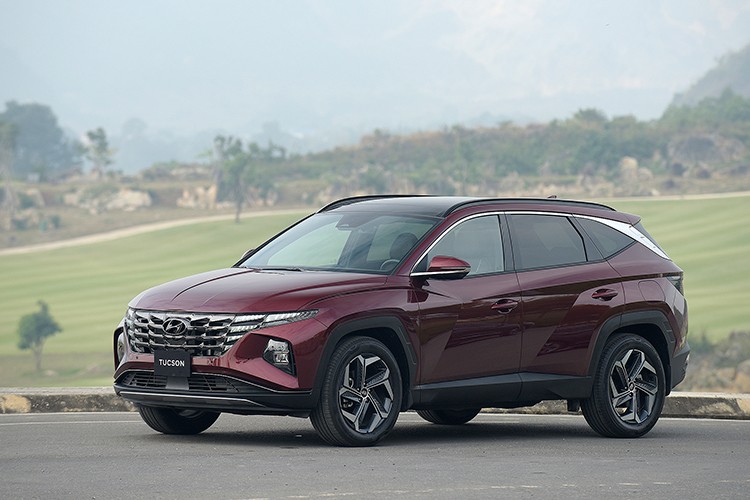 Hyundai SantaFe va Tucson tai Viet Nam duoc tang gia ban-Hinh-4