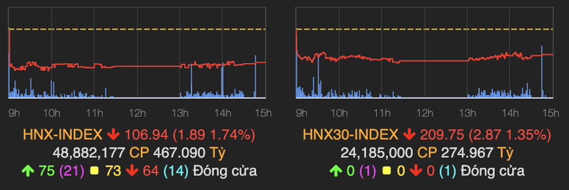 Ho VIN keo VN-Index vuot moc 850 ket phien 20/5-Hinh-2