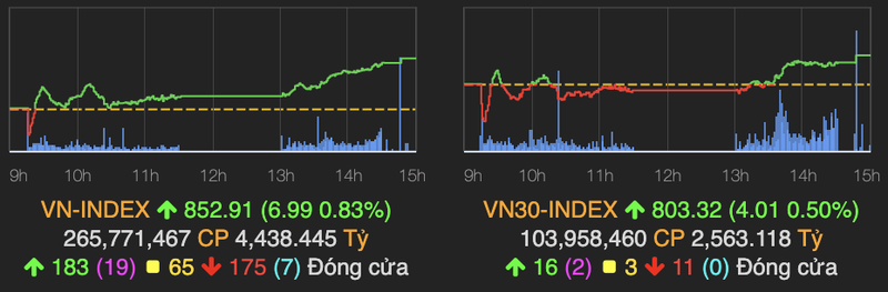 Ho VIN keo VN-Index vuot moc 850 ket phien 20/5