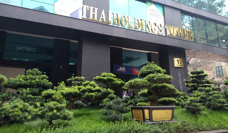 Thaiholding toan tinh gi khi thau tom 66% von Thaigroup cua bau Thuy?