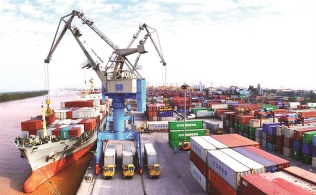 Container Viet Nam dua ra du tinh lai co the giam 12% trong nam 2021
