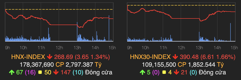 VN-Index rot xuong nguong 1.160 diem phien 24/3-Hinh-2