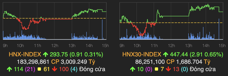 VN-Index giam 8 diem trong khi HNX-Index van tang tot-Hinh-2