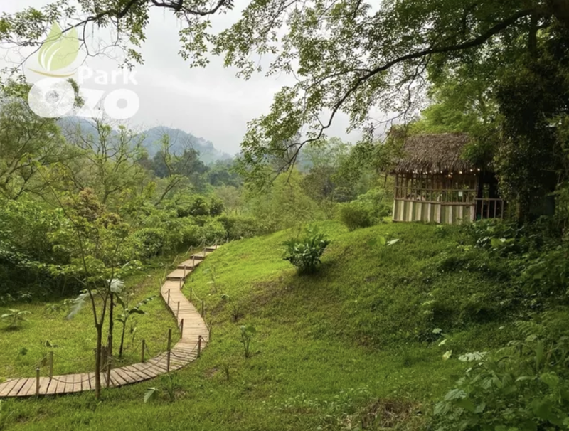 Chiem dat, xay khu du lich 'lau' giua long di san Phong Nha - Ke Bang-Hinh-2
