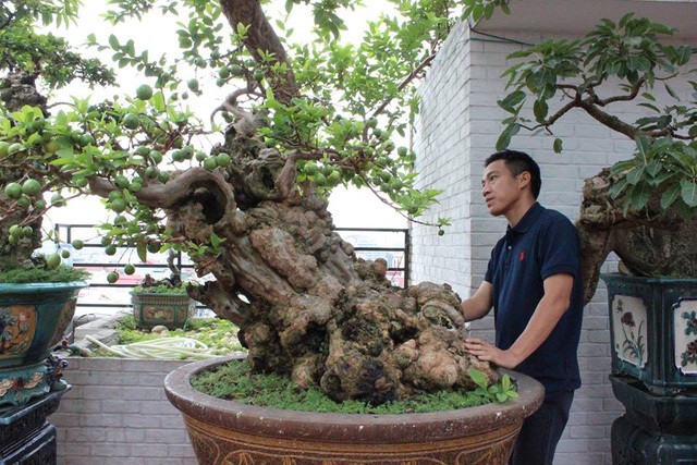 Oi bonsai doc nhat vo nhi gia tien ty khien dai gia Viet me man-Hinh-8