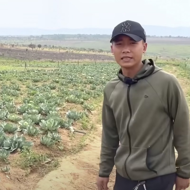 Tan muc nong trai xanh muot cua Quang Linh Vlog-Hinh-10