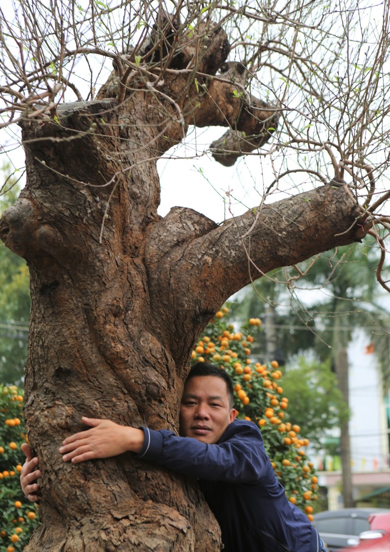 Nông dân trồng đào ở Quảng Lạc thu hàng chục triệu đồng dịp Tết