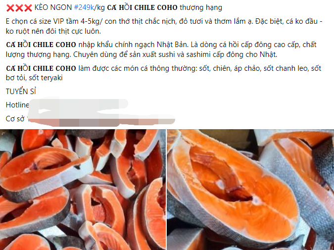 Ca hoi nhap khau chi hon 200.000 dong/kg: Hang dong lanh-Hinh-2