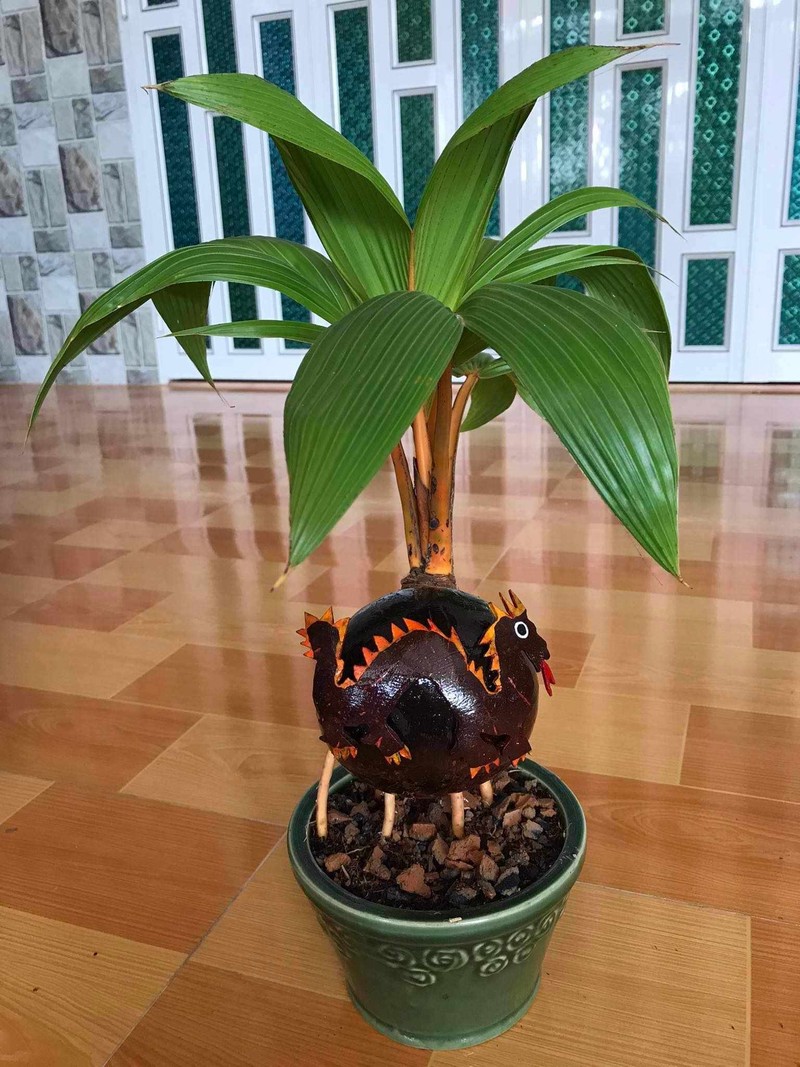 Doc dao Rong vang om dua bonsai don Tet Giap Thin 2024-Hinh-3