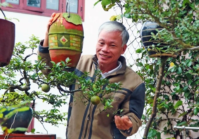 Dan bonsai moc nguoc doc nhat tai Viet Nam-Hinh-5