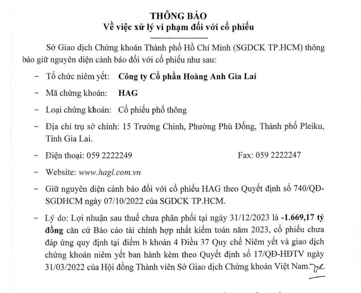 Con lo luy ke 1.669 ty, HAG cua bau Duc bi HoSE giu nguyen dien canh bao-Hinh-2