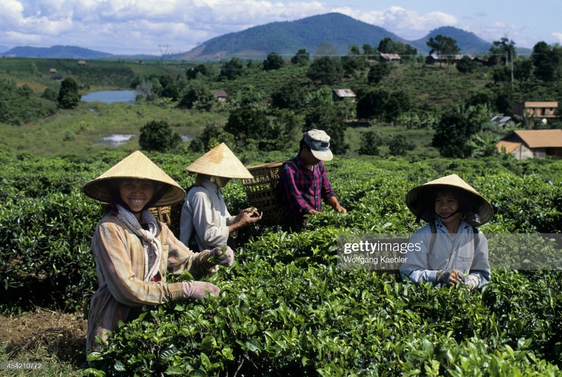 Viet Nam nam 1992 dan da qua ong kinh phong vien Duc-Hinh-6