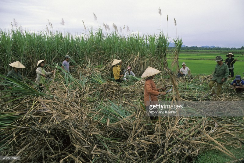 Viet Nam nam 1992 dan da qua ong kinh phong vien Duc-Hinh-7