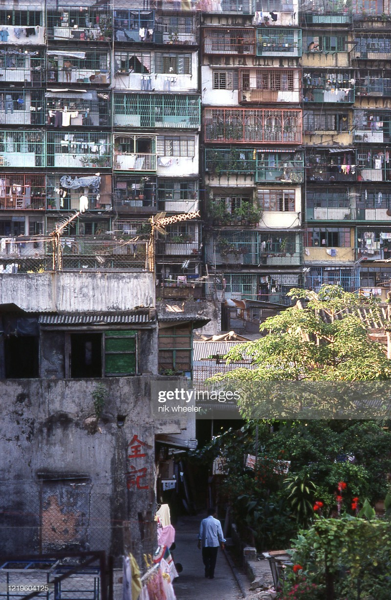 Loat anh phai xem ve Hong Kong thap nien 1970-1980-Hinh-4