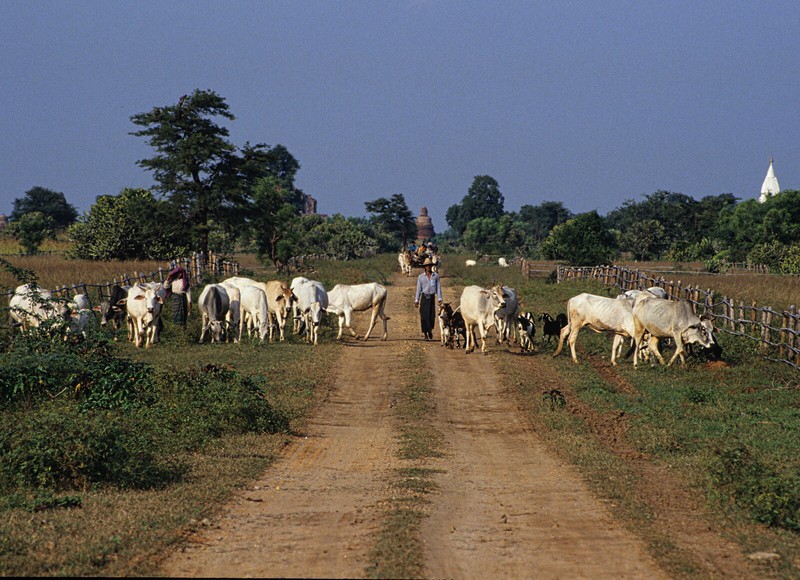 Nhung khung canh thu vi ve dat nuoc Myanmar nam 1992-Hinh-10
