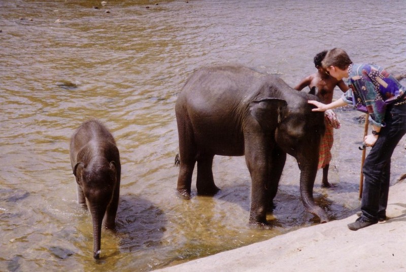 Trai nghiem cuoc song cuc thu vi o Sri Lanka nam 1993-Hinh-10